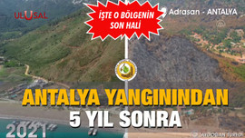 Antalya yangınından 5 yıl sonra: İşte o bölgenin son hali